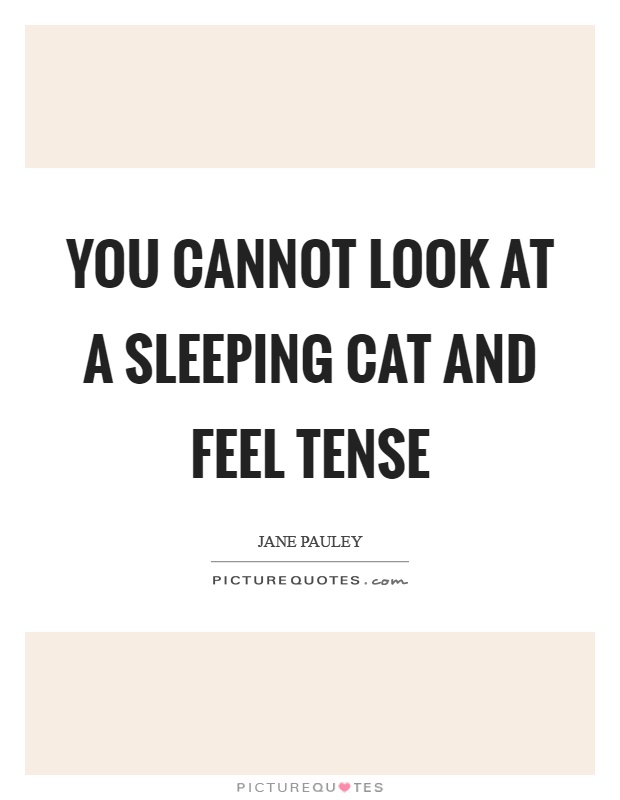 You cannot look at a sleeping cat and feel tense Picture Quote #1