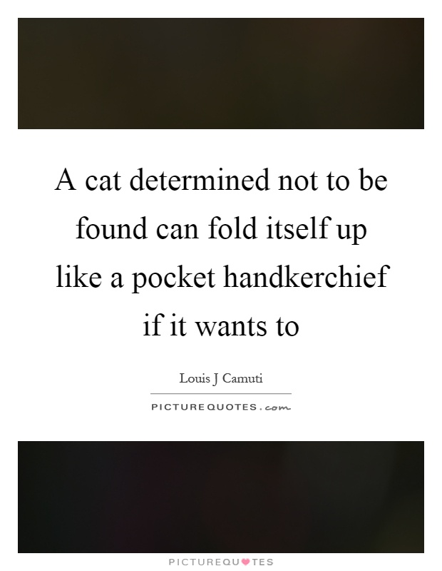 A cat determined not to be found can fold itself up like a pocket handkerchief if it wants to Picture Quote #1