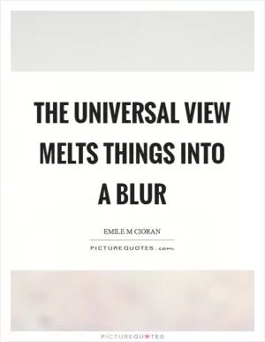 The universal view melts things into a blur Picture Quote #1