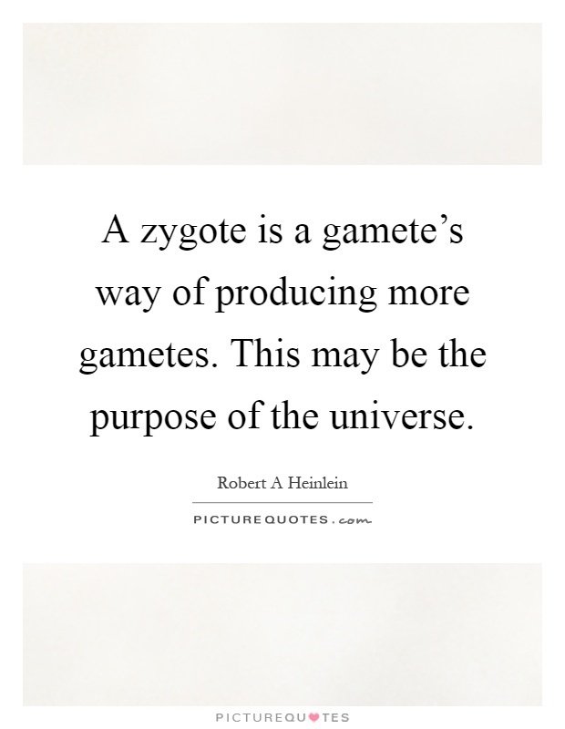 A zygote is a gamete's way of producing more gametes. This may be the purpose of the universe Picture Quote #1