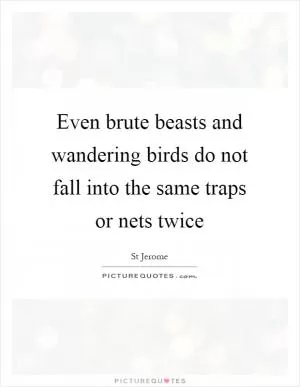 Even brute beasts and wandering birds do not fall into the same traps or nets twice Picture Quote #1