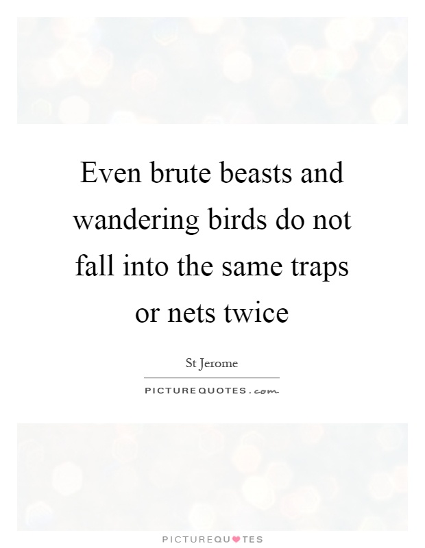 Even brute beasts and wandering birds do not fall into the same traps or nets twice Picture Quote #1