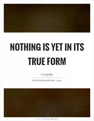 Nothing is yet in its true form Picture Quote #1