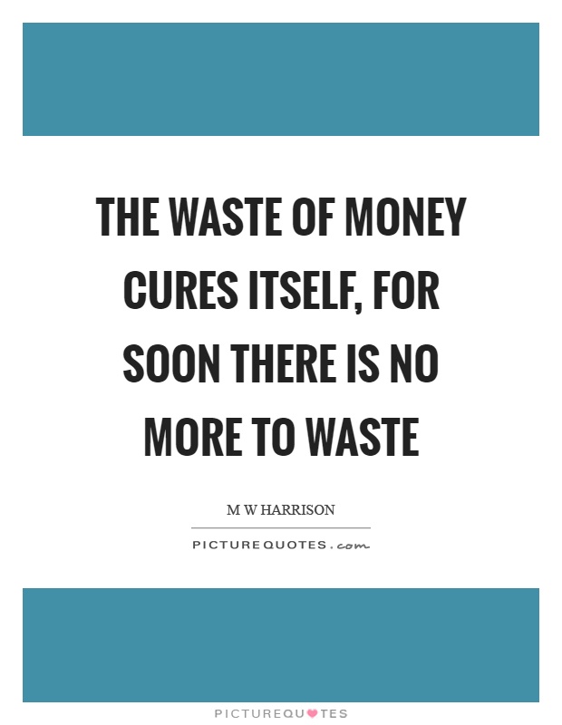 The waste of money cures itself, for soon there is no more to waste Picture Quote #1