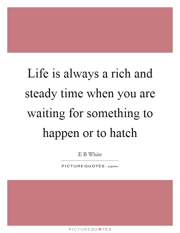 Life is always a rich and steady time when you are waiting for something to happen or to hatch Picture Quote #1