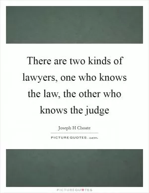 There are two kinds of lawyers, one who knows the law, the other who knows the judge Picture Quote #1
