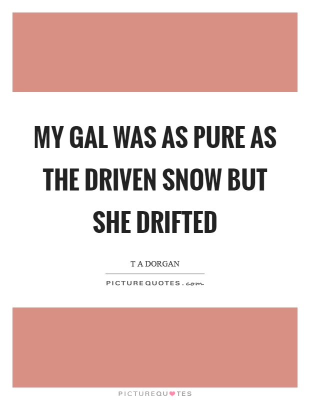 My gal was as pure as the driven snow but she drifted Picture Quote #1