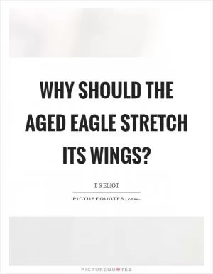 Why should the aged eagle stretch its wings? Picture Quote #1