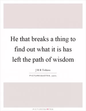 He that breaks a thing to find out what it is has left the path of wisdom Picture Quote #1