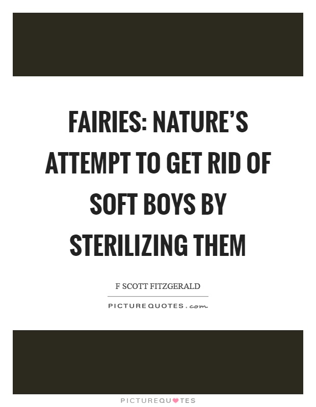 Fairies: Nature's attempt to get rid of soft boys by sterilizing them Picture Quote #1