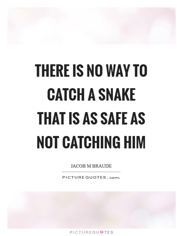 There is no way to catch a snake that is as safe as not catching him Picture Quote #1