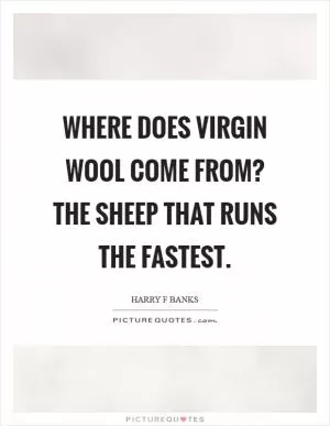 Where does virgin wool come from? the sheep that runs the fastest Picture Quote #1