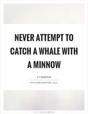 Never attempt to catch a whale with a minnow Picture Quote #1