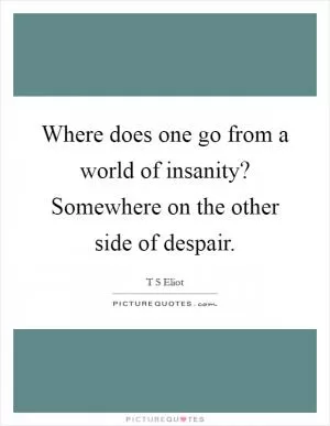Where does one go from a world of insanity? Somewhere on the other side of despair Picture Quote #1