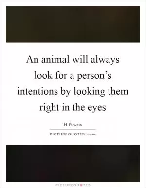 An animal will always look for a person’s intentions by looking them right in the eyes Picture Quote #1