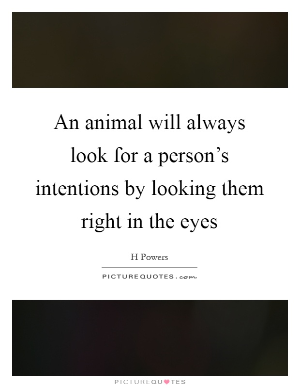 An animal will always look for a person's intentions by looking them right in the eyes Picture Quote #1