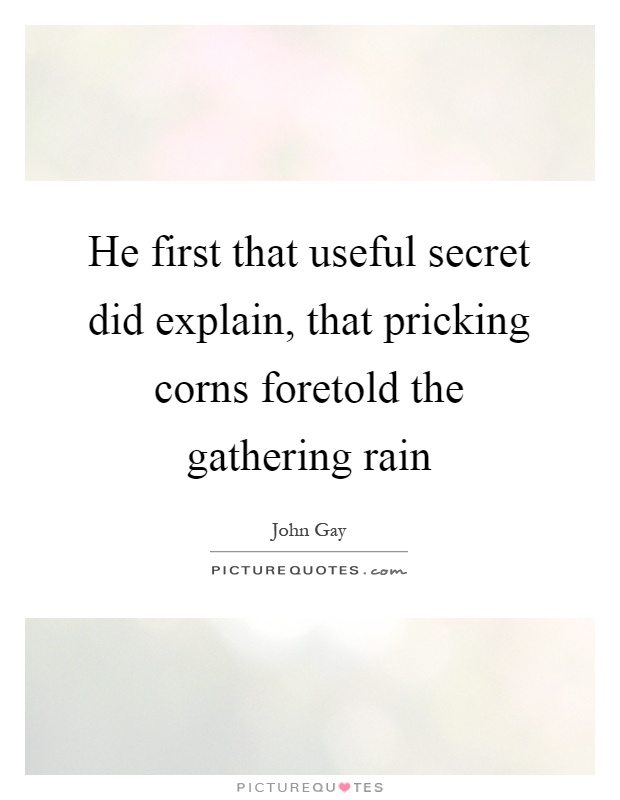 He first that useful secret did explain, that pricking corns foretold the gathering rain Picture Quote #1