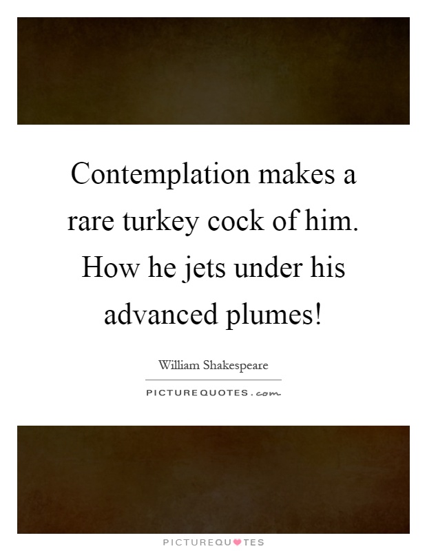Contemplation makes a rare turkey cock of him. How he jets under his advanced plumes! Picture Quote #1