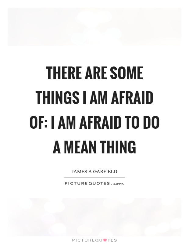 There are some things I am afraid of: I am afraid to do a mean thing Picture Quote #1