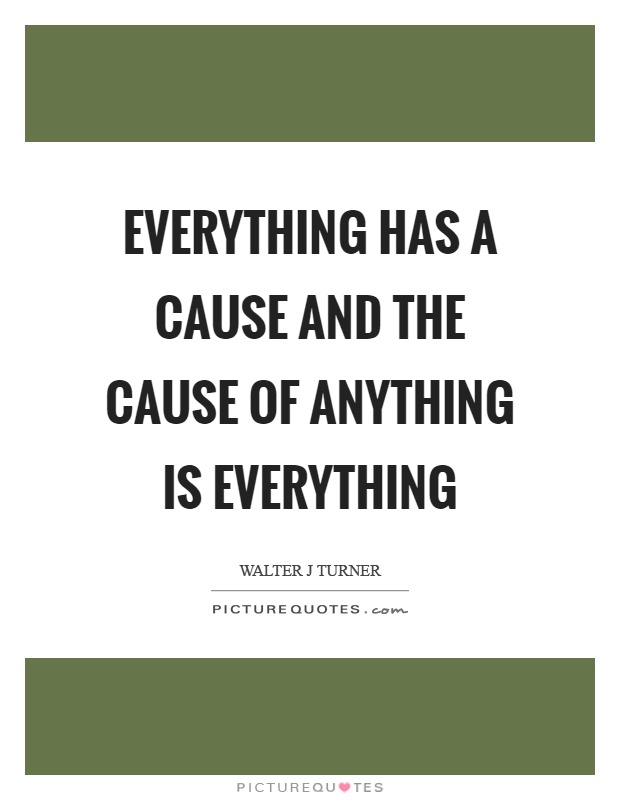 Everything has a cause and the cause of anything is everything Picture Quote #1