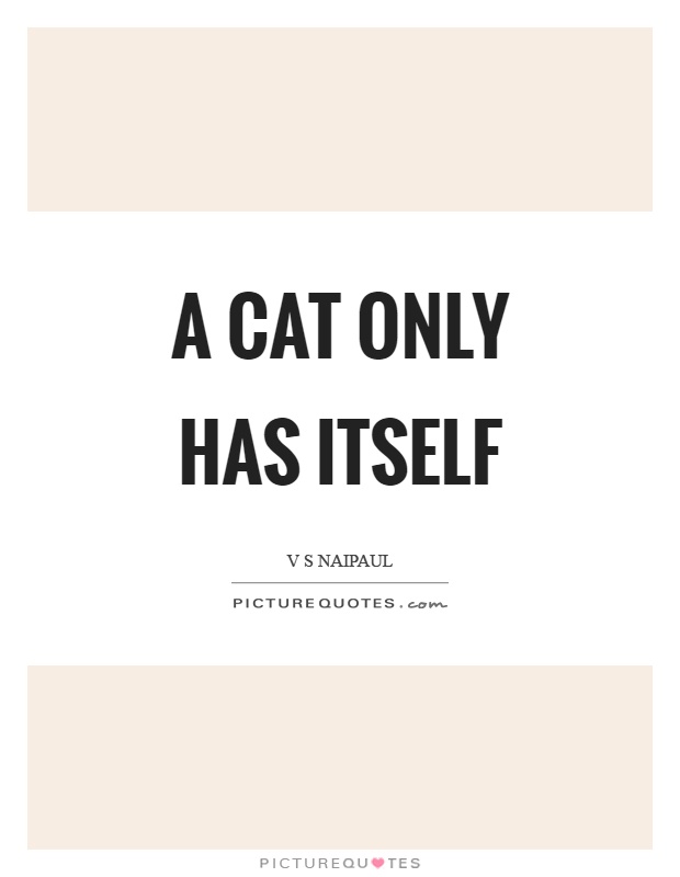 A cat only has itself Picture Quote #1