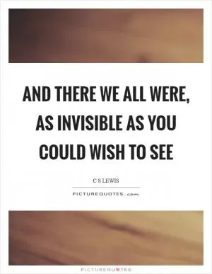 And there we all were, as invisible as you could wish to see Picture Quote #1