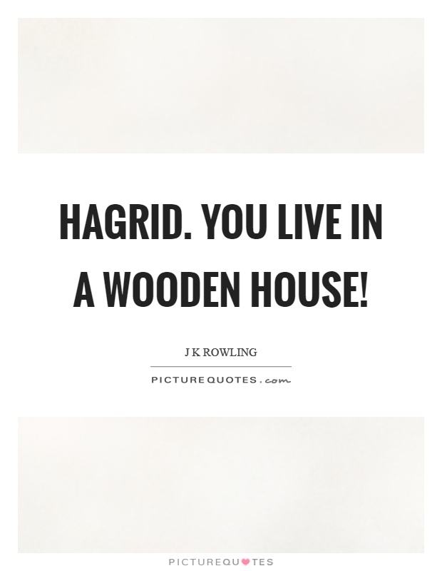 Hagrid. You live in a wooden house! Picture Quote #1