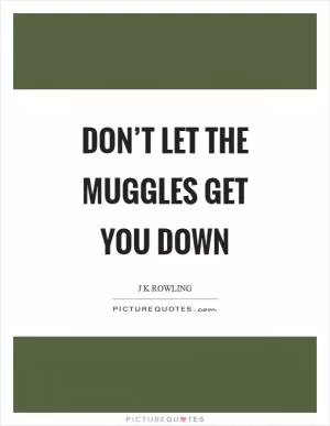 Don’t let the muggles get you down Picture Quote #1