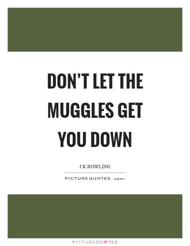 Don't let the muggles get you down Picture Quote #1