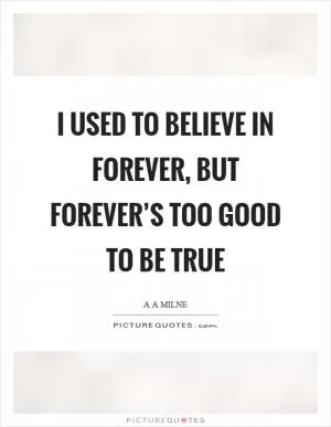 I used to believe in forever, but forever’s too good to be true Picture Quote #1