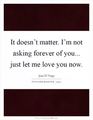 It doesn’t matter. I’m not asking forever of you... just let me love you now Picture Quote #1