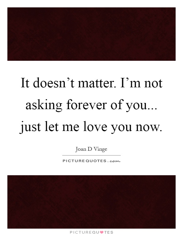 It doesn't matter. I'm not asking forever of you... just let me love you now Picture Quote #1