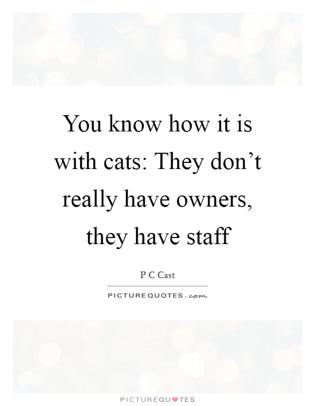 You know how it is with cats: They don't really have owners, they have staff Picture Quote #1