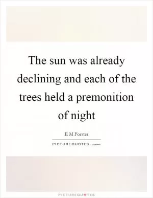 The sun was already declining and each of the trees held a premonition of night Picture Quote #1