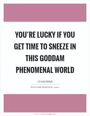 You’re lucky if you get time to sneeze in this goddam phenomenal world Picture Quote #1