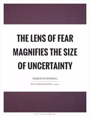 The lens of fear magnifies the size of uncertainty Picture Quote #1