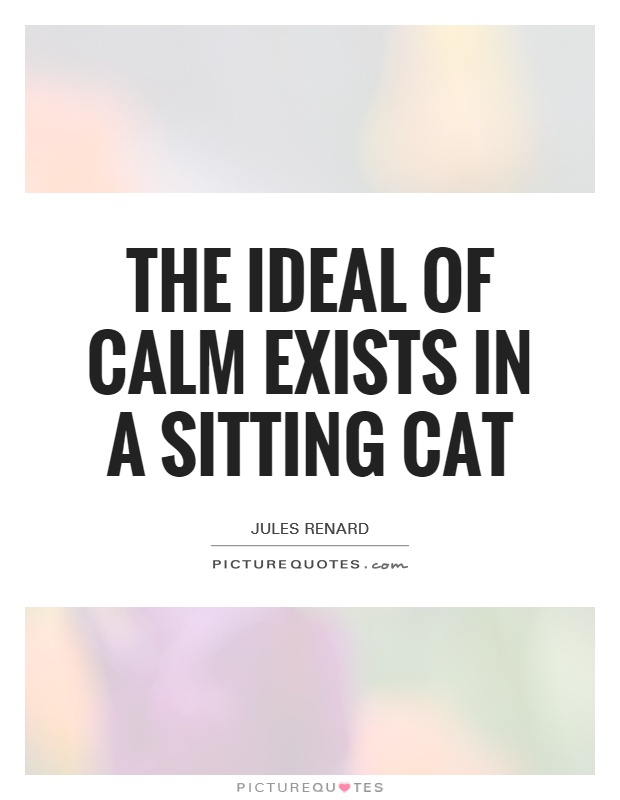 The ideal of calm exists in a sitting cat Picture Quote #1