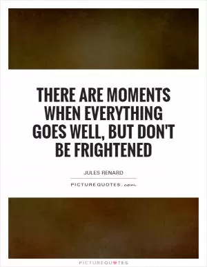 There are moments when everything goes well, but don't be frightened Picture Quote #1