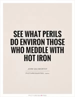 See what perils do environ those who meddle with hot iron Picture Quote #1
