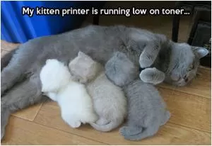 My kitten printer is running low on toner Picture Quote #1