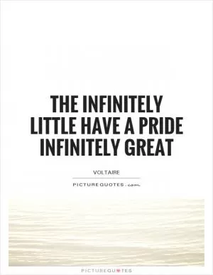 The infinitely little have a pride infinitely great Picture Quote #1