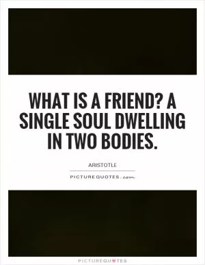 What is a friend? A single soul dwelling in two bodies Picture Quote #1