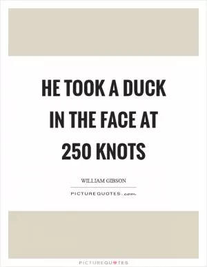 He took a duck in the face at 250 knots Picture Quote #1