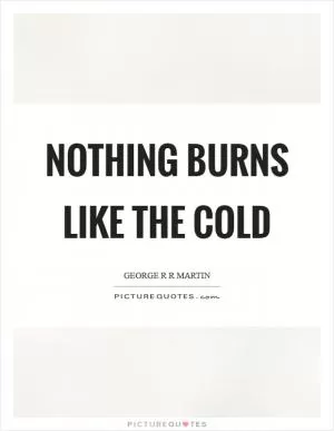 Nothing burns like the cold Picture Quote #1
