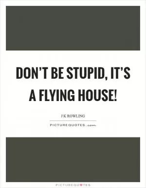 Don’t be stupid, it’s a flying house! Picture Quote #1