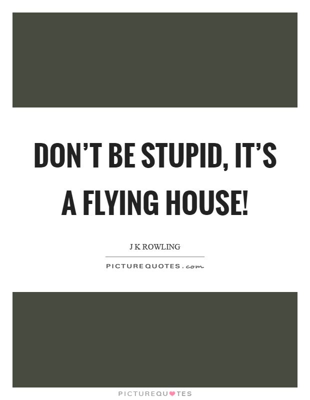 Don't be stupid, it's a flying house! Picture Quote #1