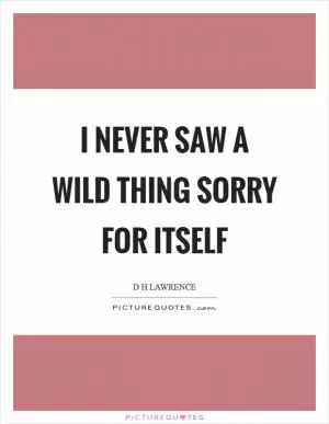 I never saw a wild thing sorry for itself Picture Quote #1