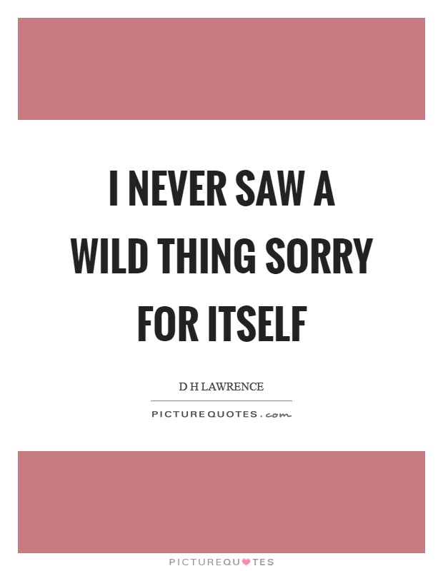 I never saw a wild thing sorry for itself Picture Quote #1