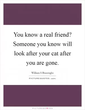 You know a real friend? Someone you know will look after your cat after you are gone Picture Quote #1
