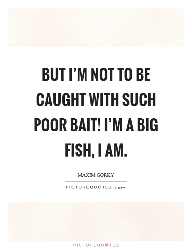 But I'm not to be caught with such poor bait! I'm a big fish, I am Picture Quote #1